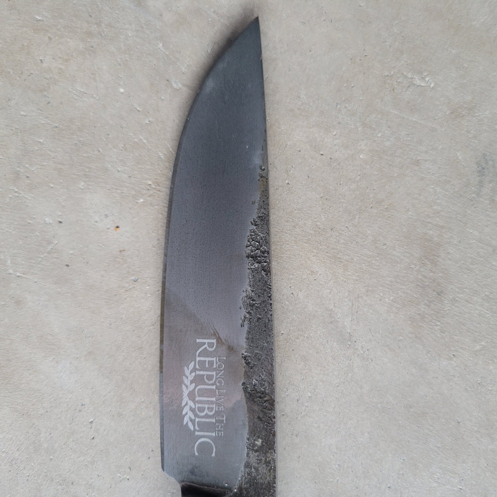 LLTR blade #25